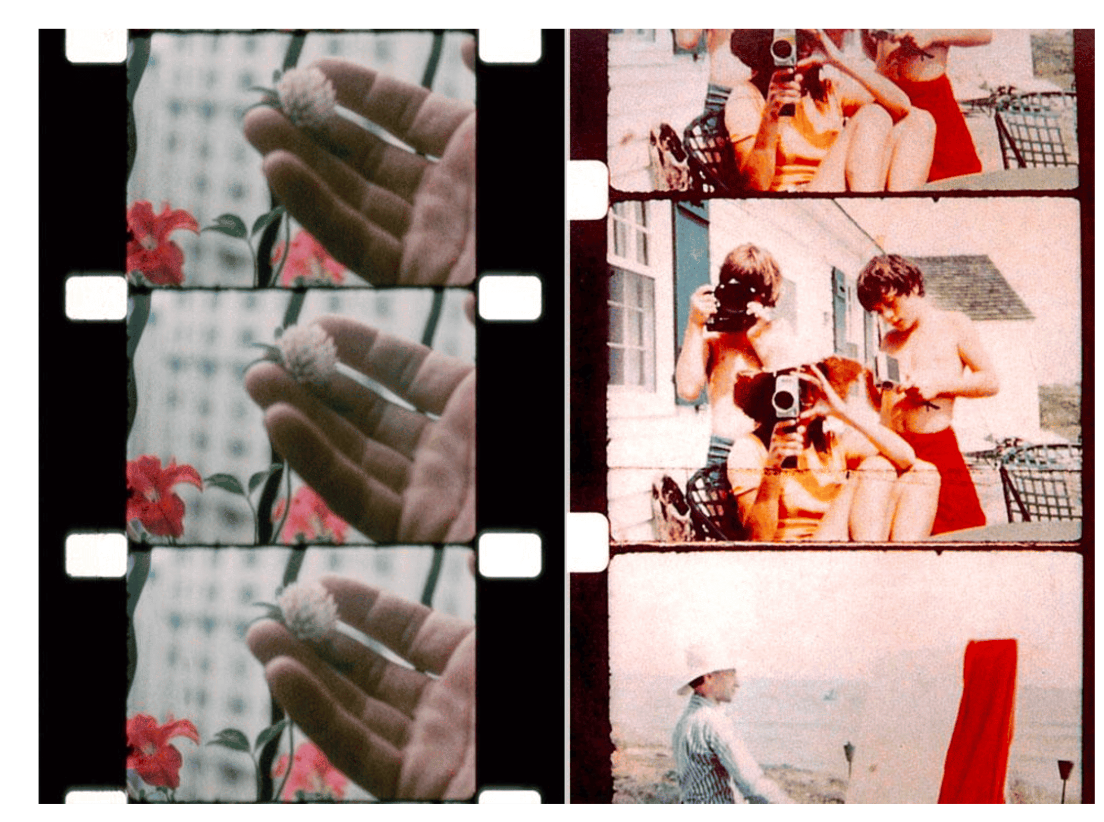 Composición fotográfica de varios fotogramas de películas repetidos en los que se ven una mano sosteniendo entre los dedos una florcilla natural, un grupo de adolescentes en una playa que hacen fotos y graban con sus cámaras, y un pintor pintando en un lienzo frente al mar.